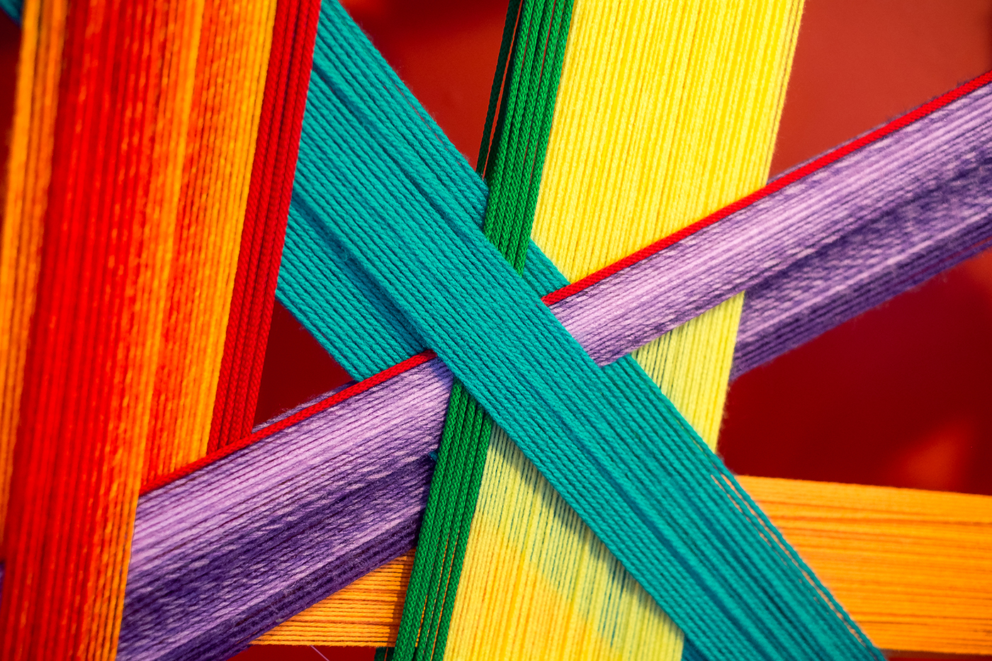 shannon robinson social fusion1