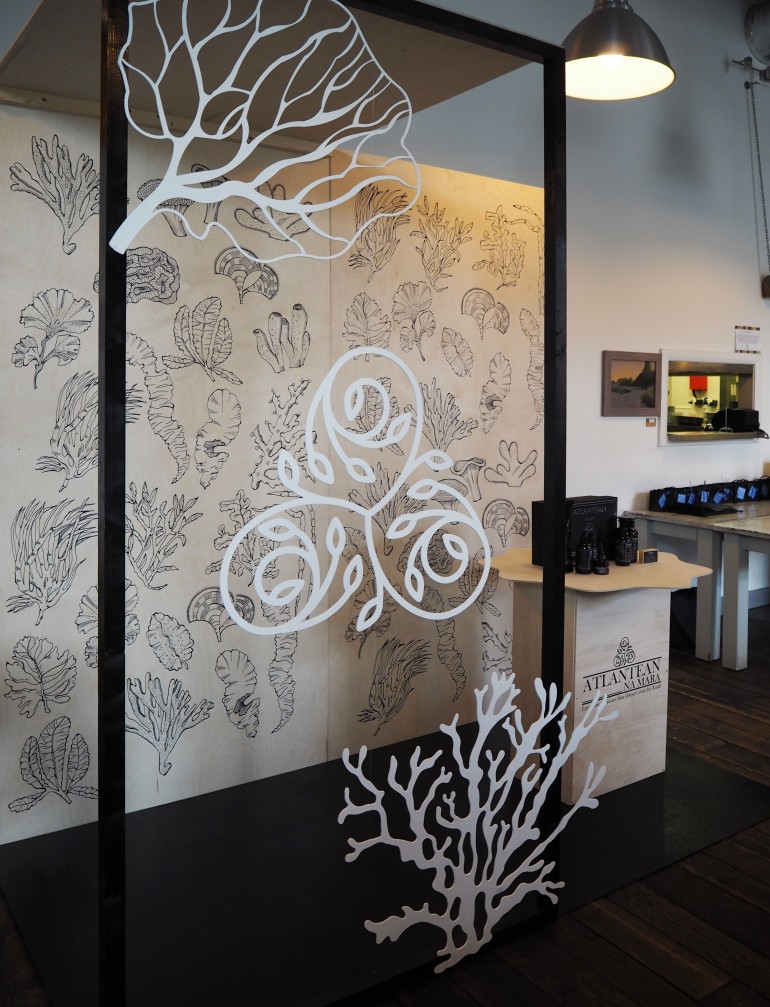  by VM esther kodmon sustainabilityatthewildatlantic 2