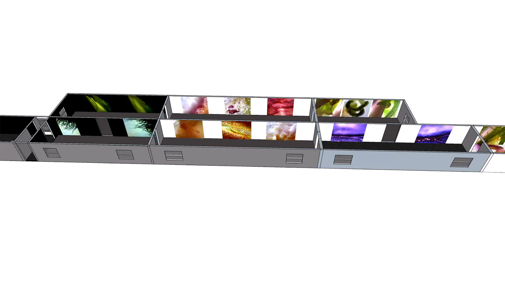  by BeataBlaszczok FineArt HiddenBeautyOfPlants 2 1650 copy