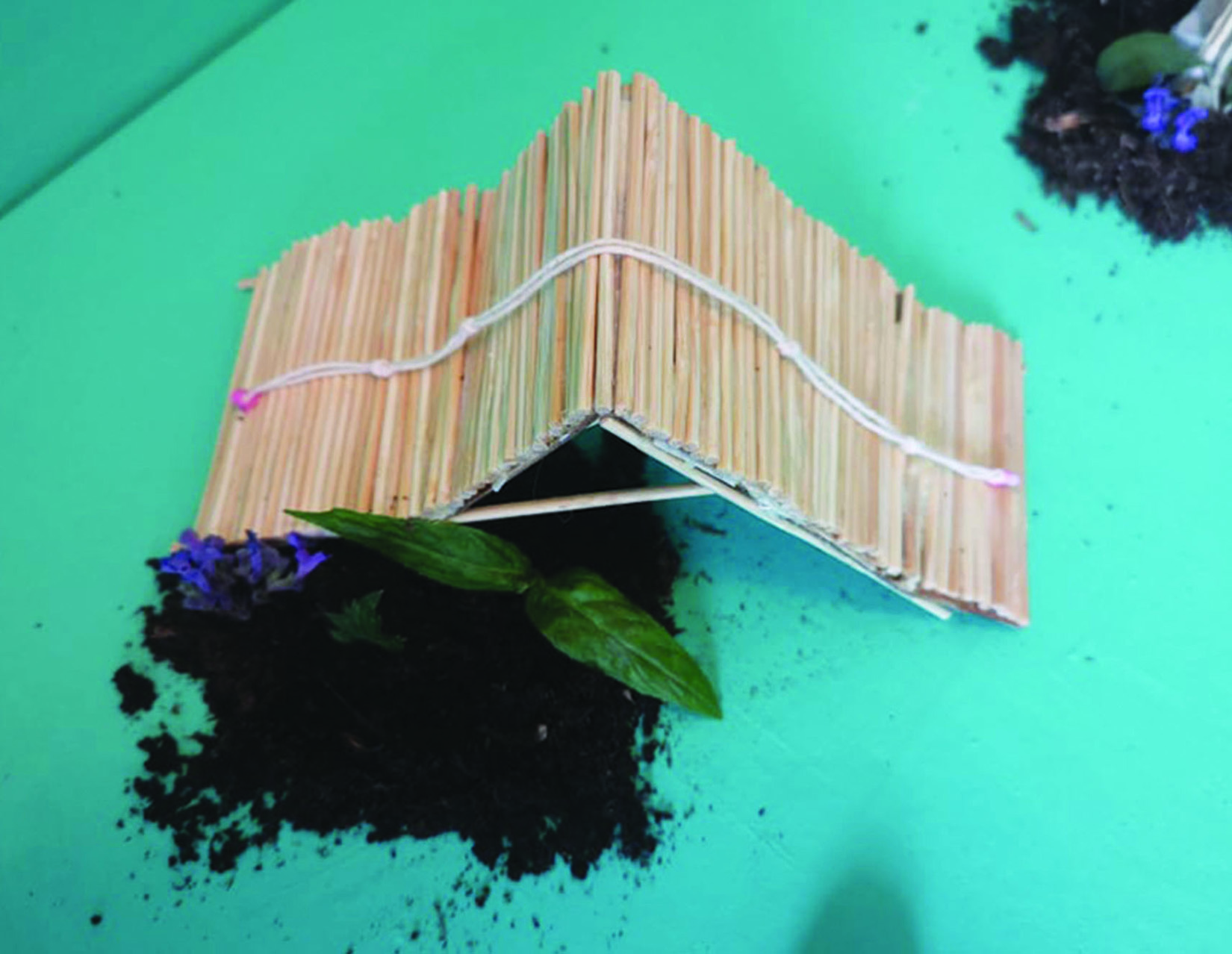  by Michelle Malone 5 1650