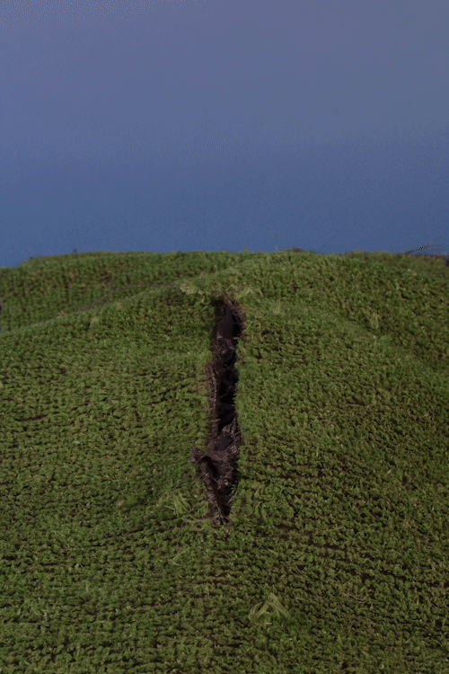  by aoife tighe photography burial 04.gif