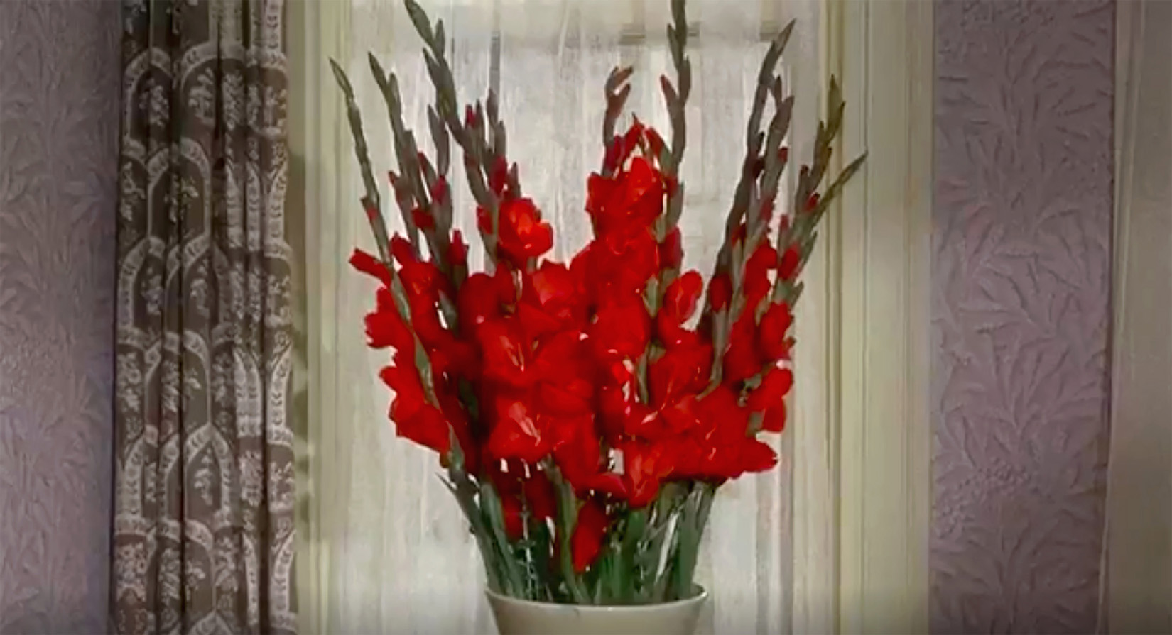  by eimear bradley photography macguffin 02 1650