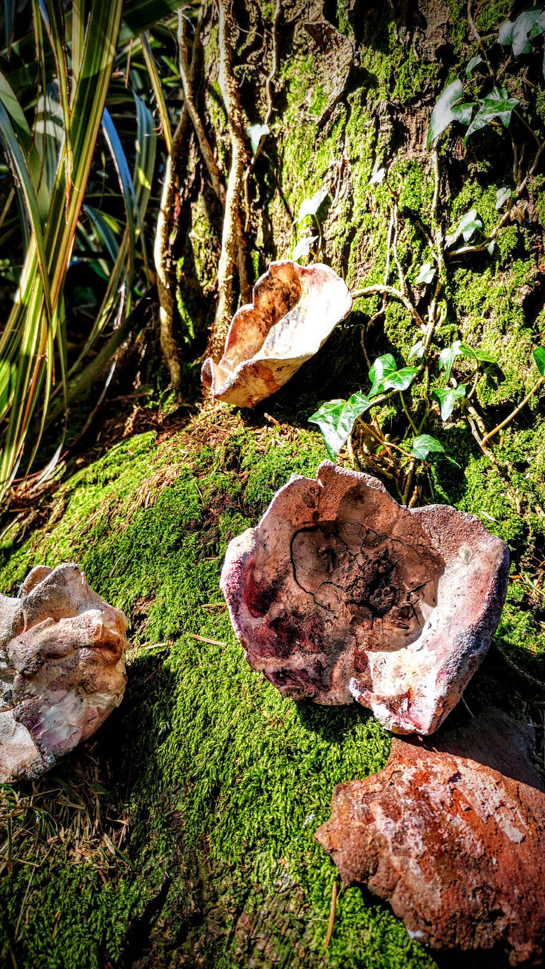  by Ann Burns Visual Arts She 003