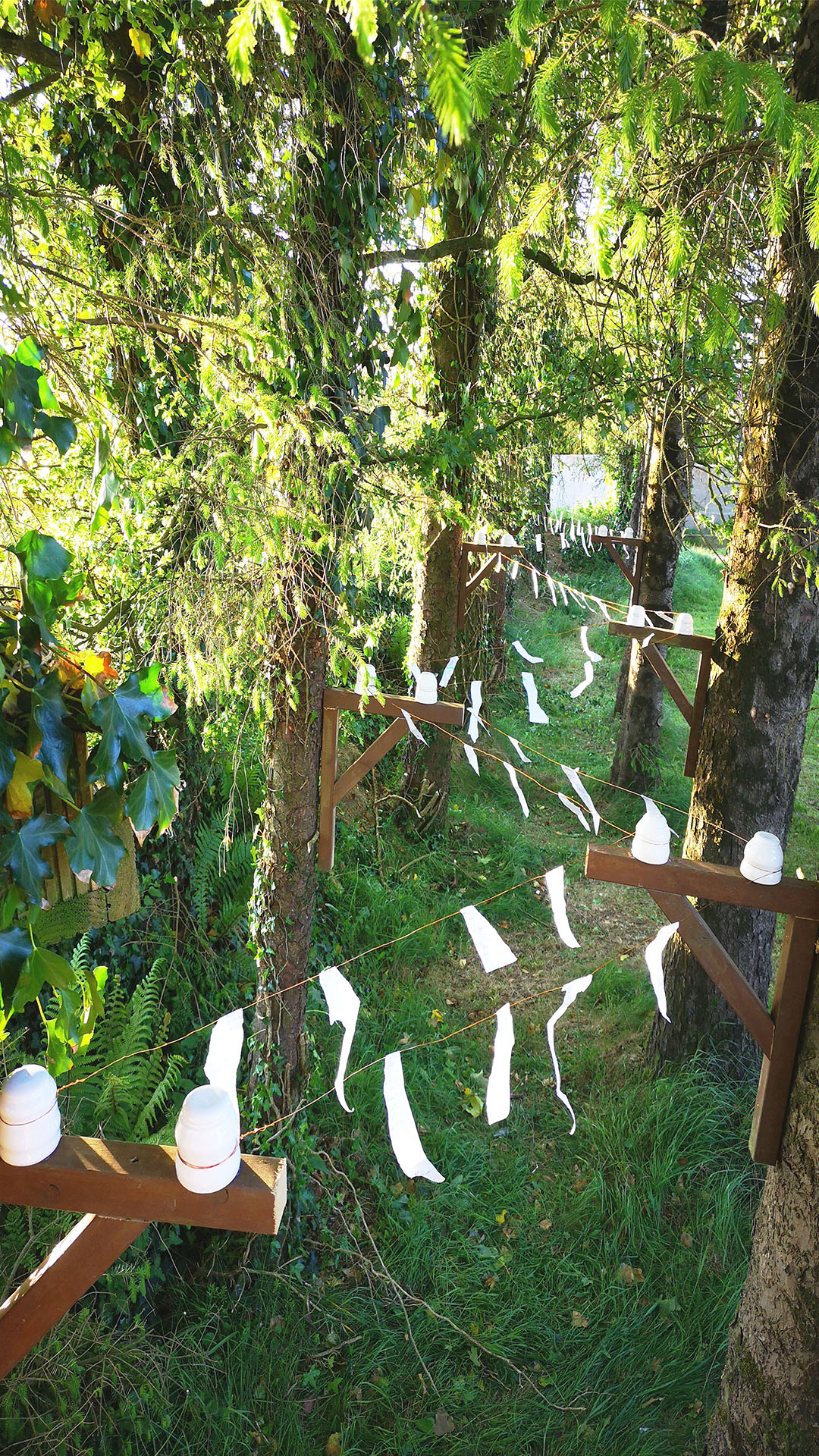  by Ann Burns Visual Arts She 004