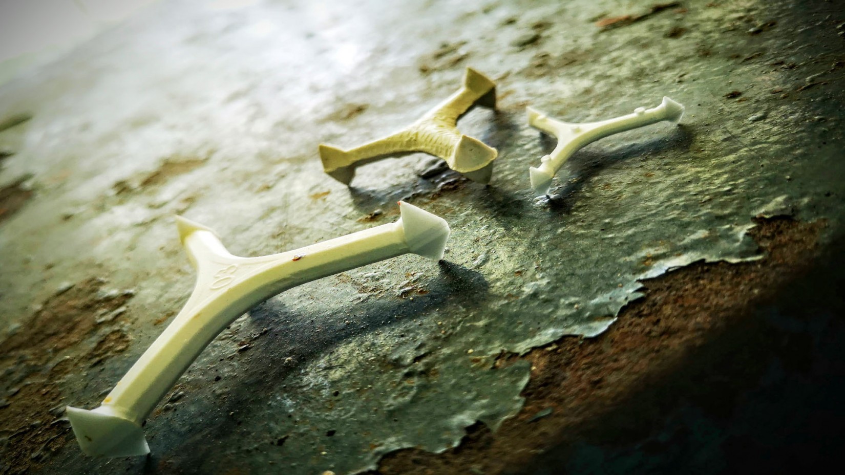  by Ann Burns Visual Arts She 000