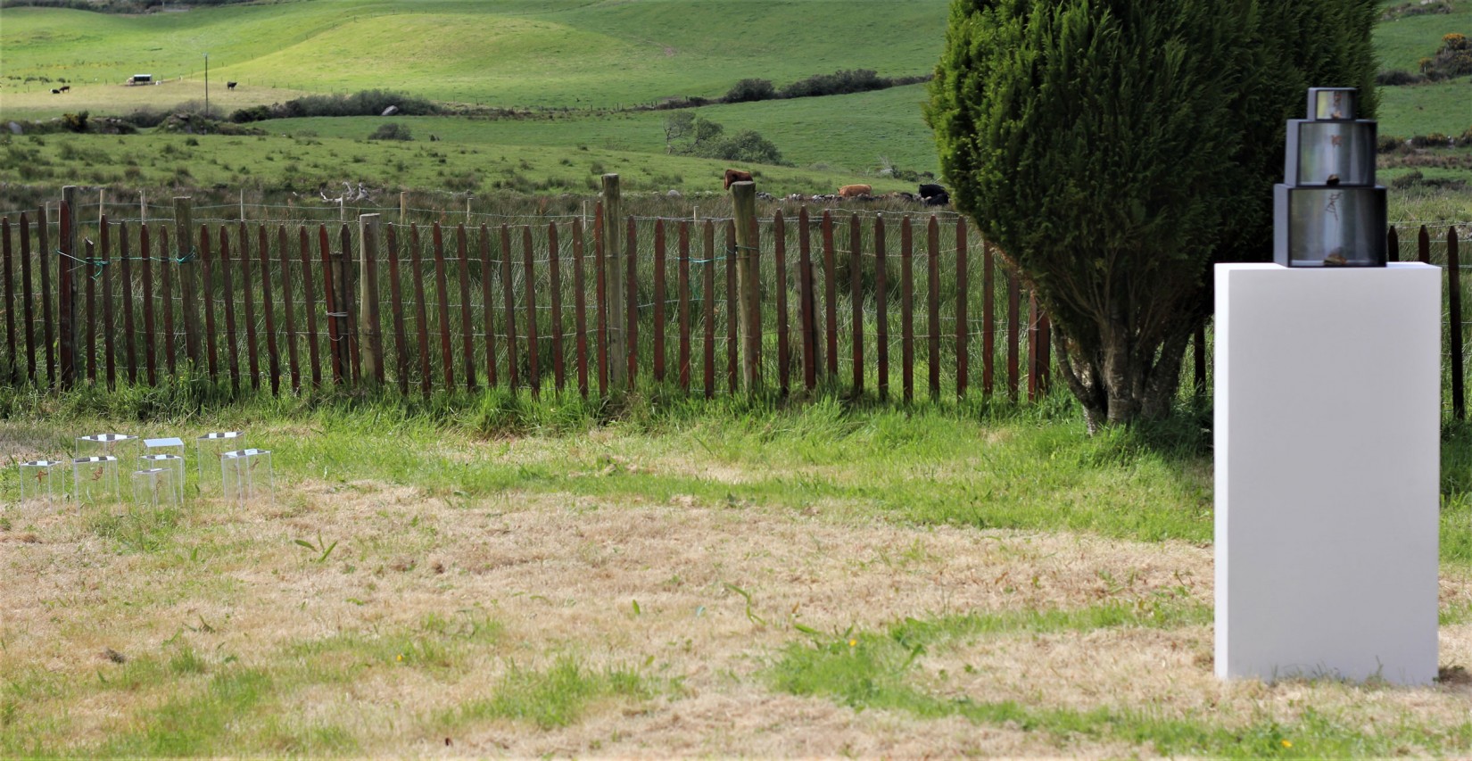  by FayeSherriff BAVA IlludSum 1