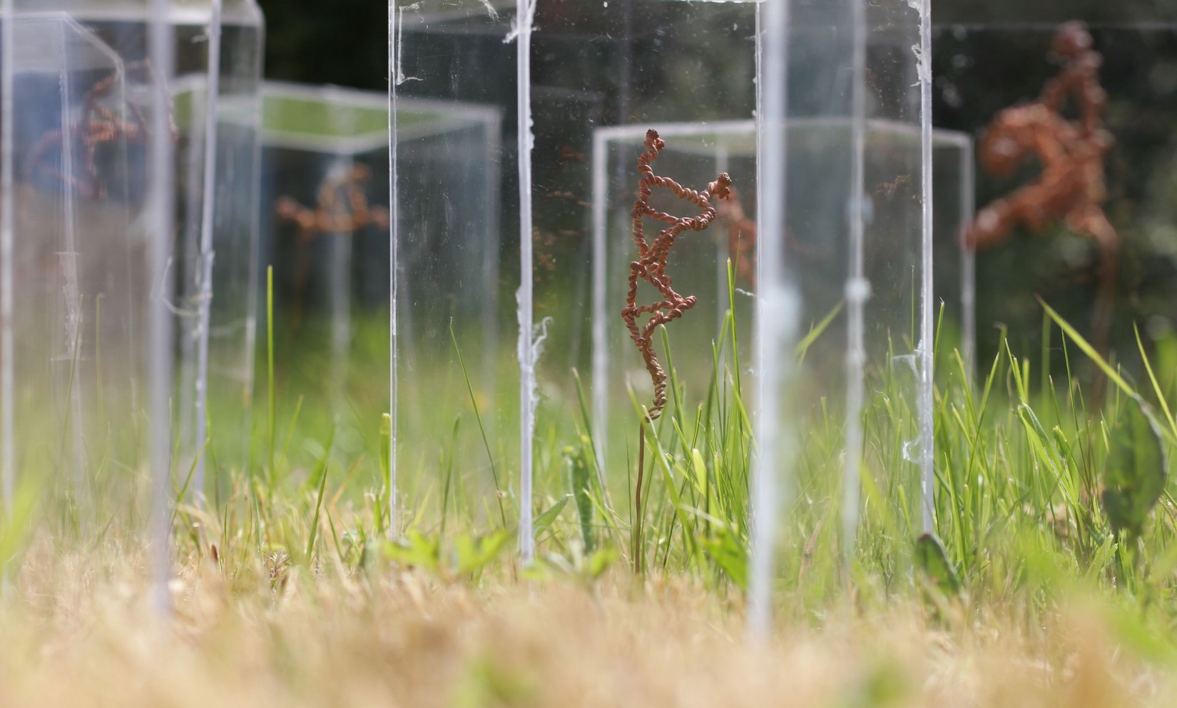  by FayeSherriff BAVA IlludSum 5