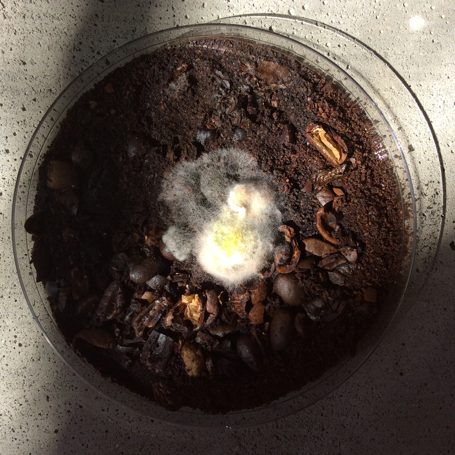  by SineadMcCormick VisualArt IntangibleInterconnections 3