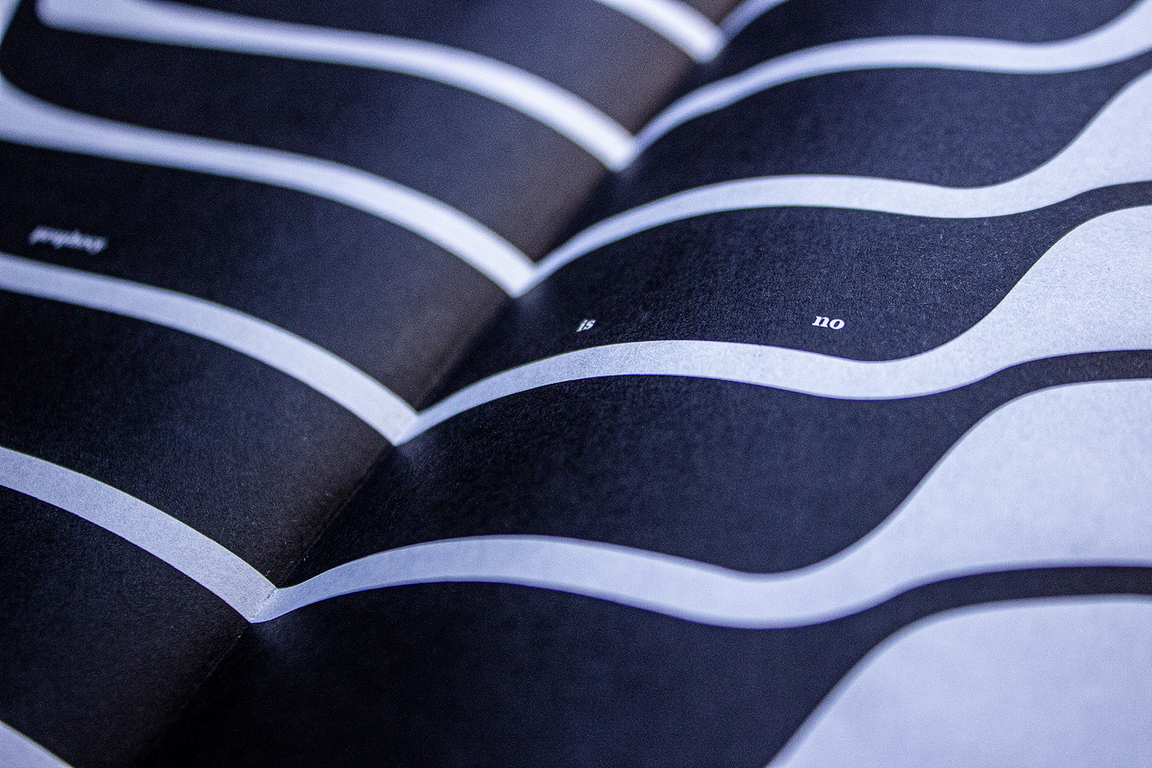  by IMG 6093 edit 1650