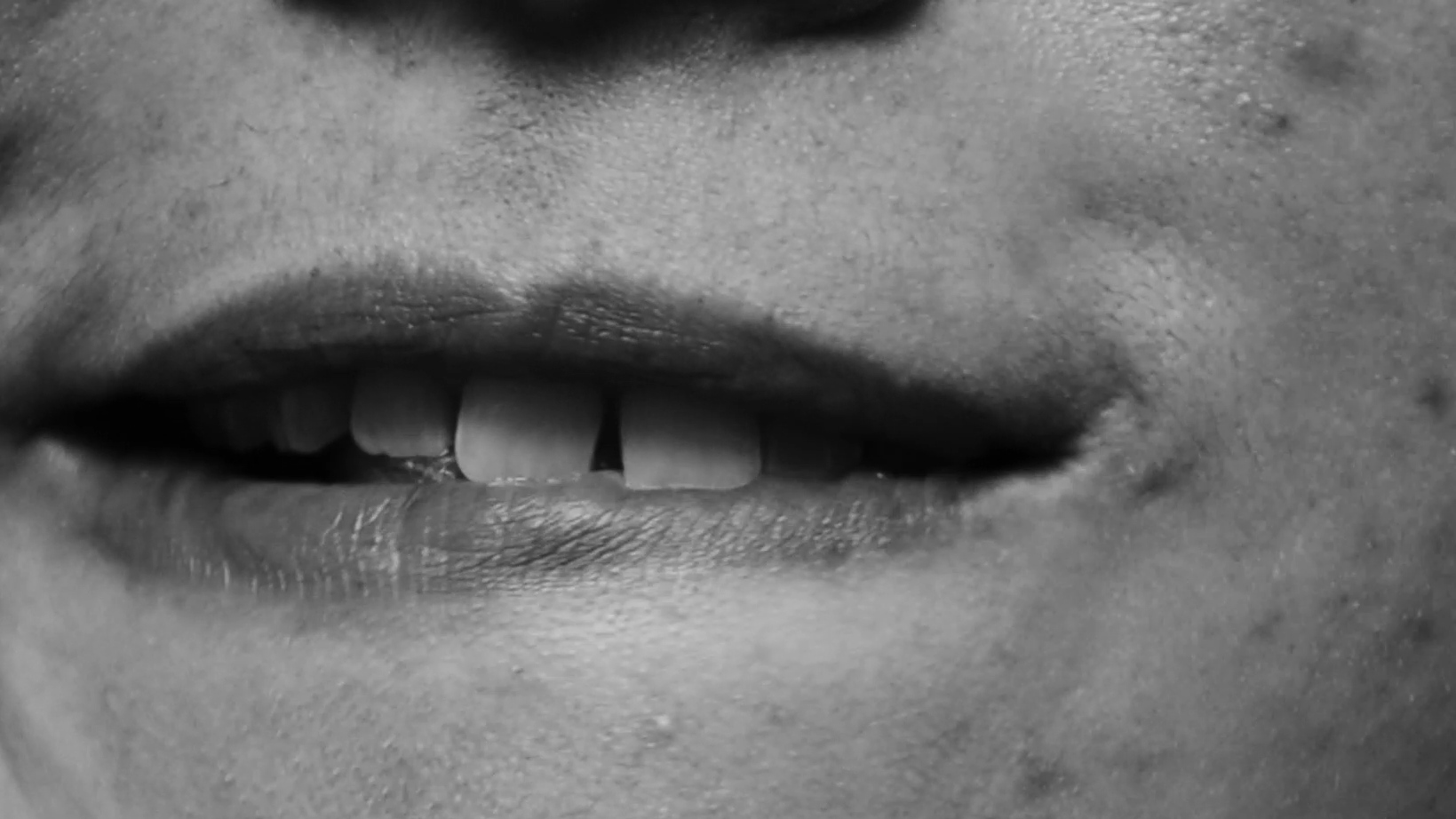  by FerreiraJ Viscom Sandra 2