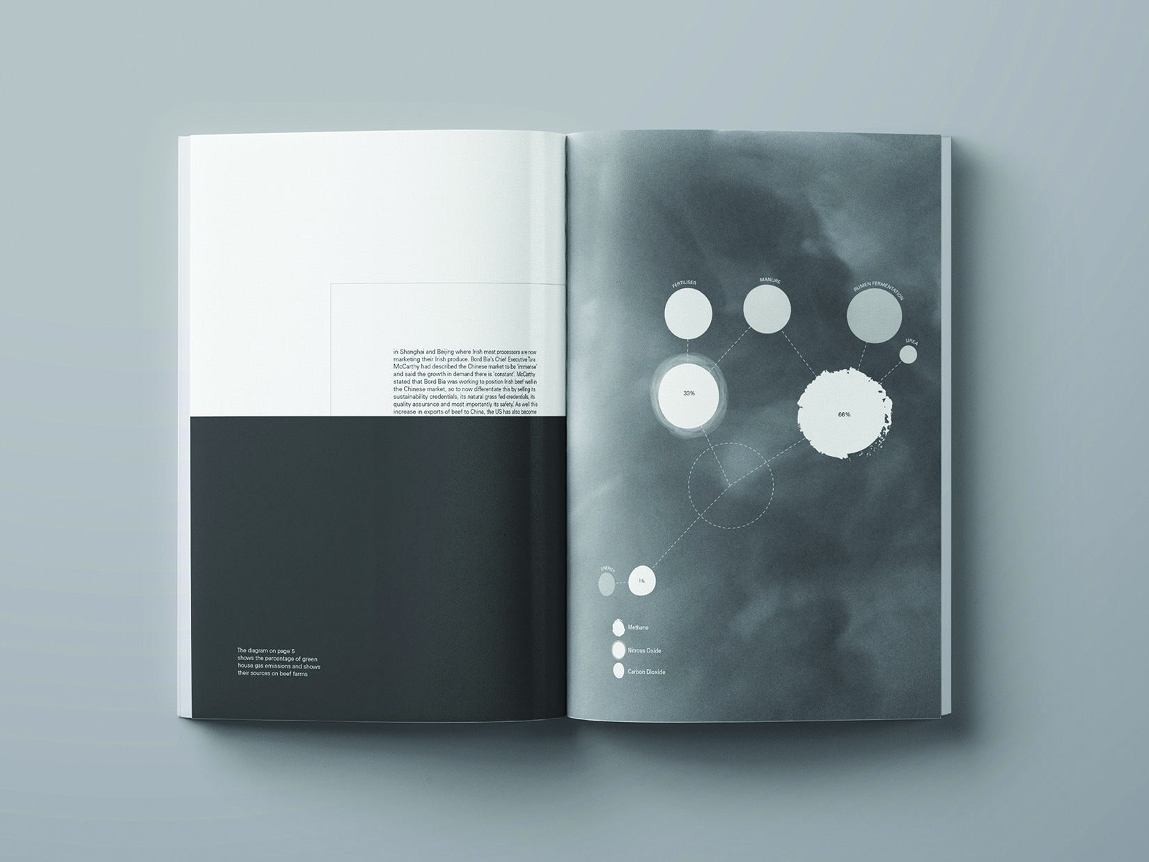  by Eve O Callaghan Viscom ISTDimg1 1650