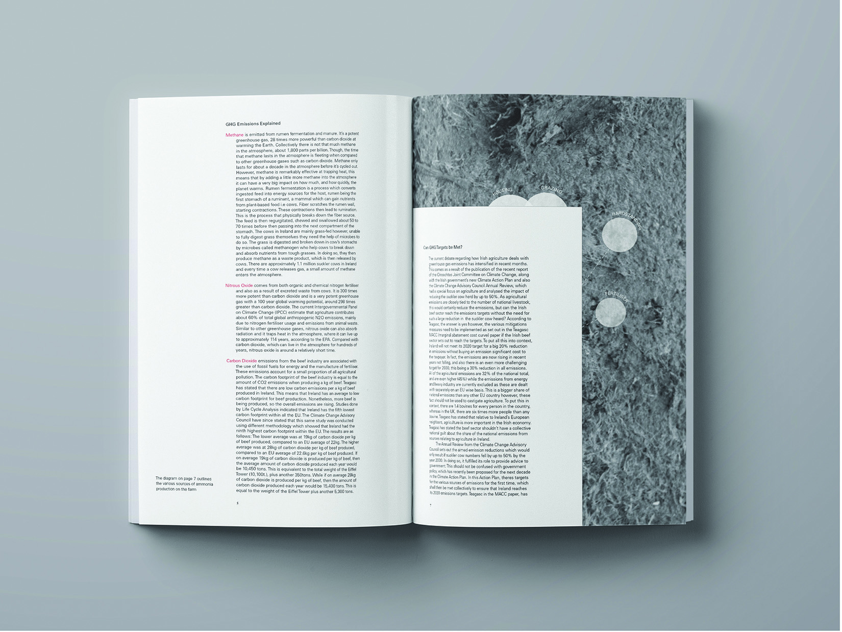  by Eve O Callaghan Viscom ISTDimg2 1650