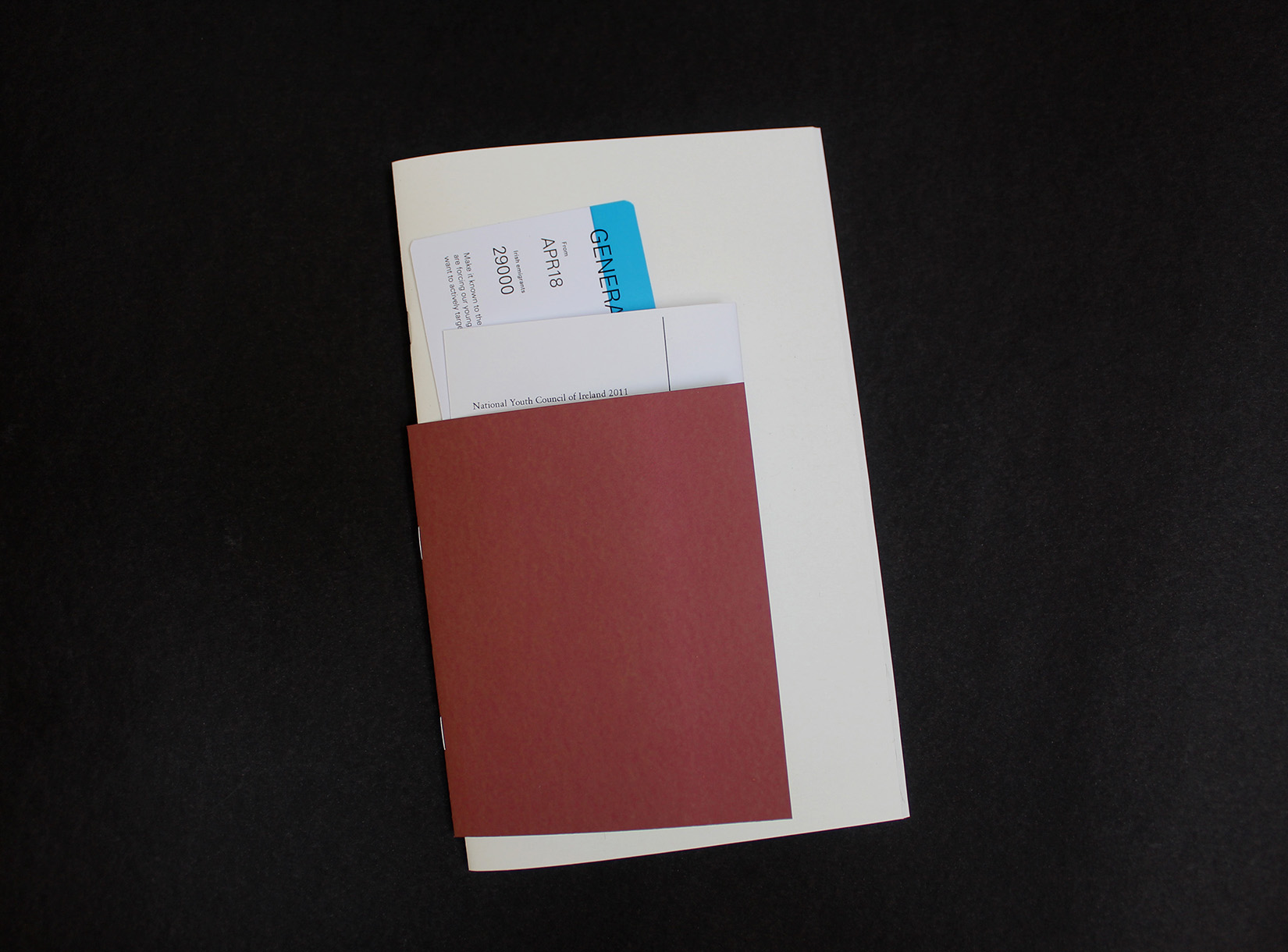  by SaoirseRyan VisComm LeaveIreland 2 1650