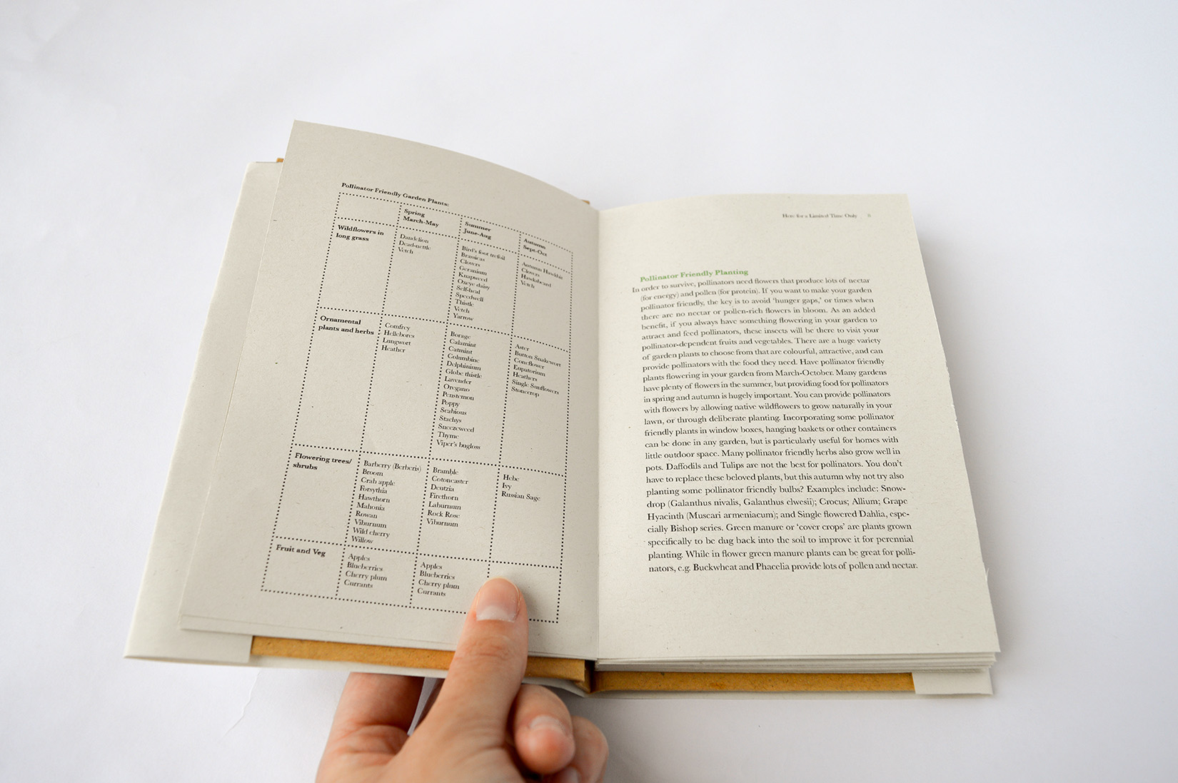  by SarahSullivan VisualCommunications Here for a Limited Time Only 2 1650