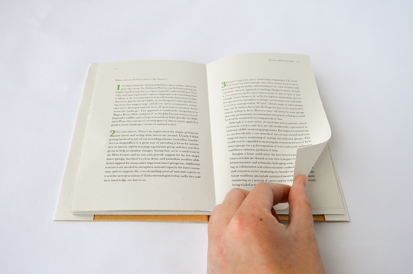  by SarahSullivan VisualCommunications Here for a Limited Time Only 5 1650