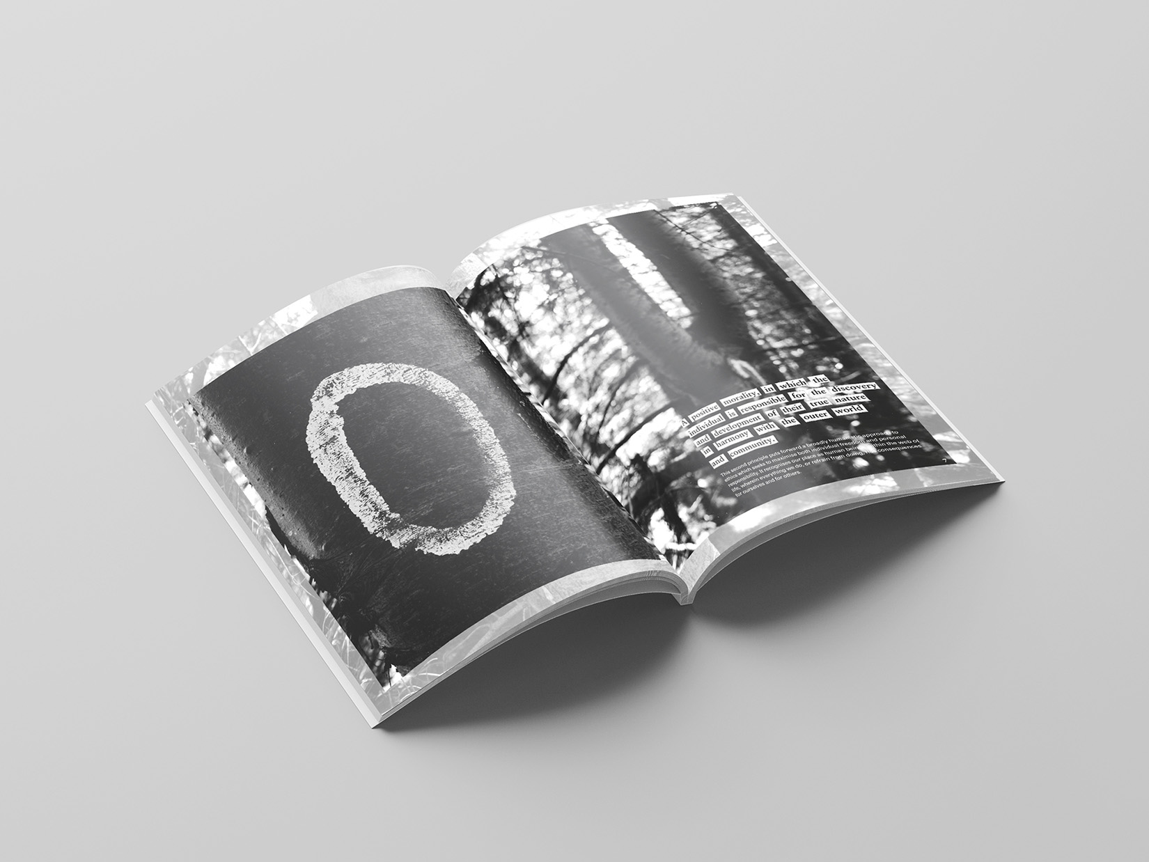  by SarahSullivan VisualCommunications In Tune with Nature 3 1650