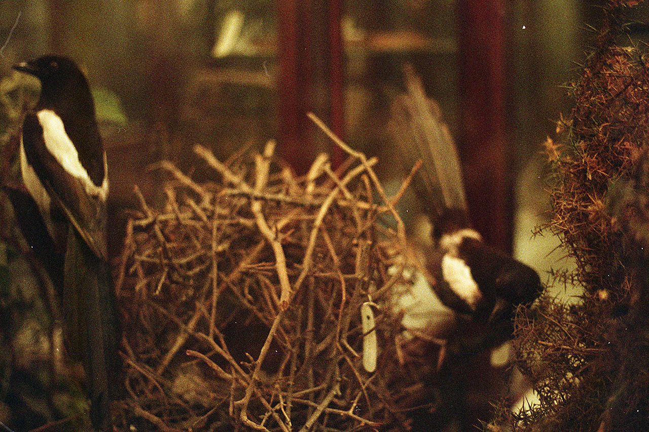 maria maarbjerg Proj1 2 by new-project-page