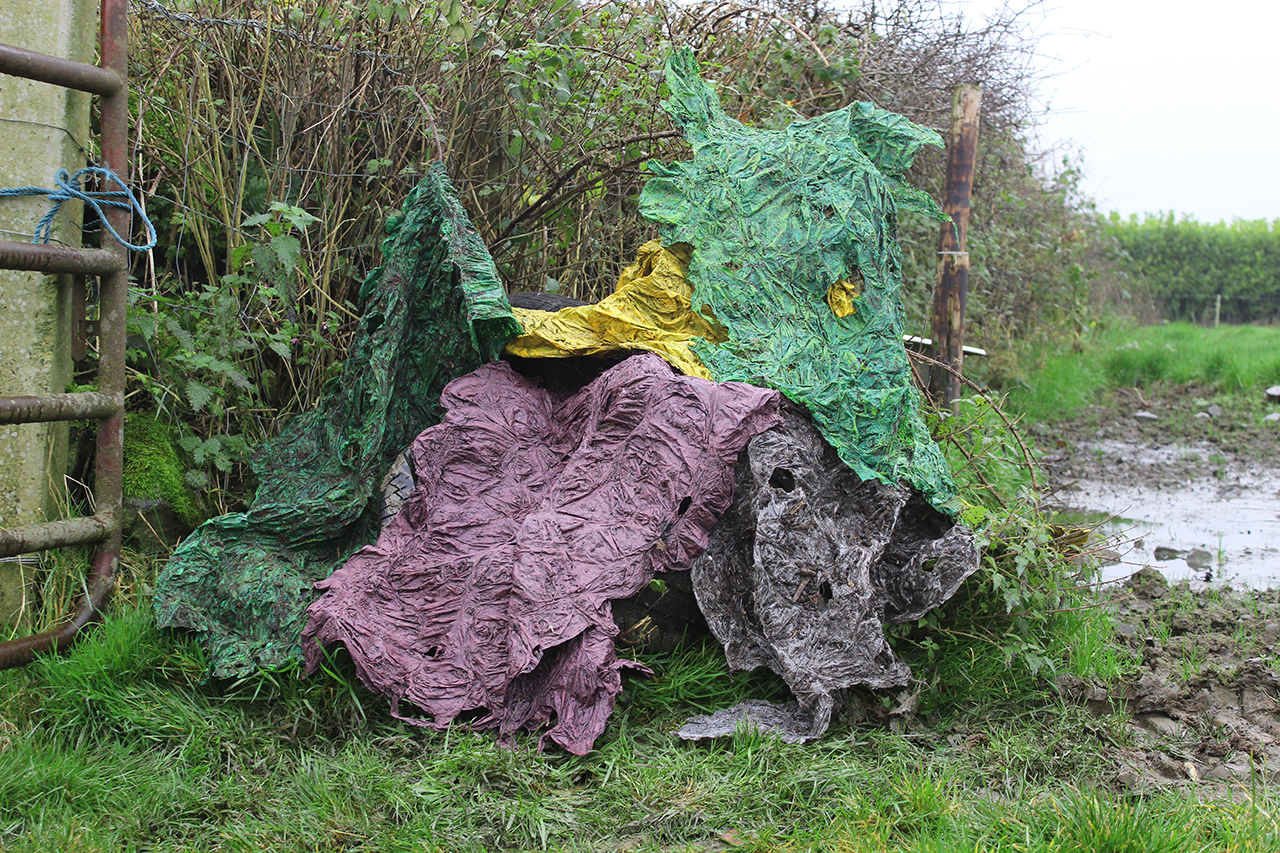 Sinead Smyth Proj1 2 by new-project-page