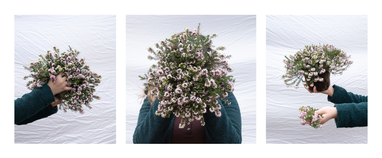 Grace Scully Proj1 4 by new-project-page