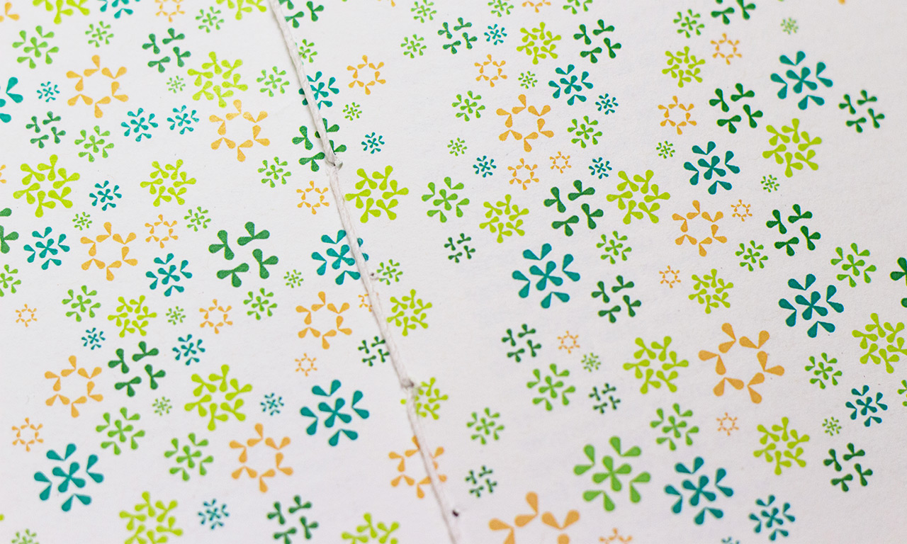 clairelouise vickery projectB 3 by new-project-page