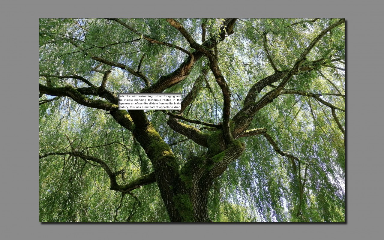 Lauren Tarpey ProjectB 5 by new-project-page