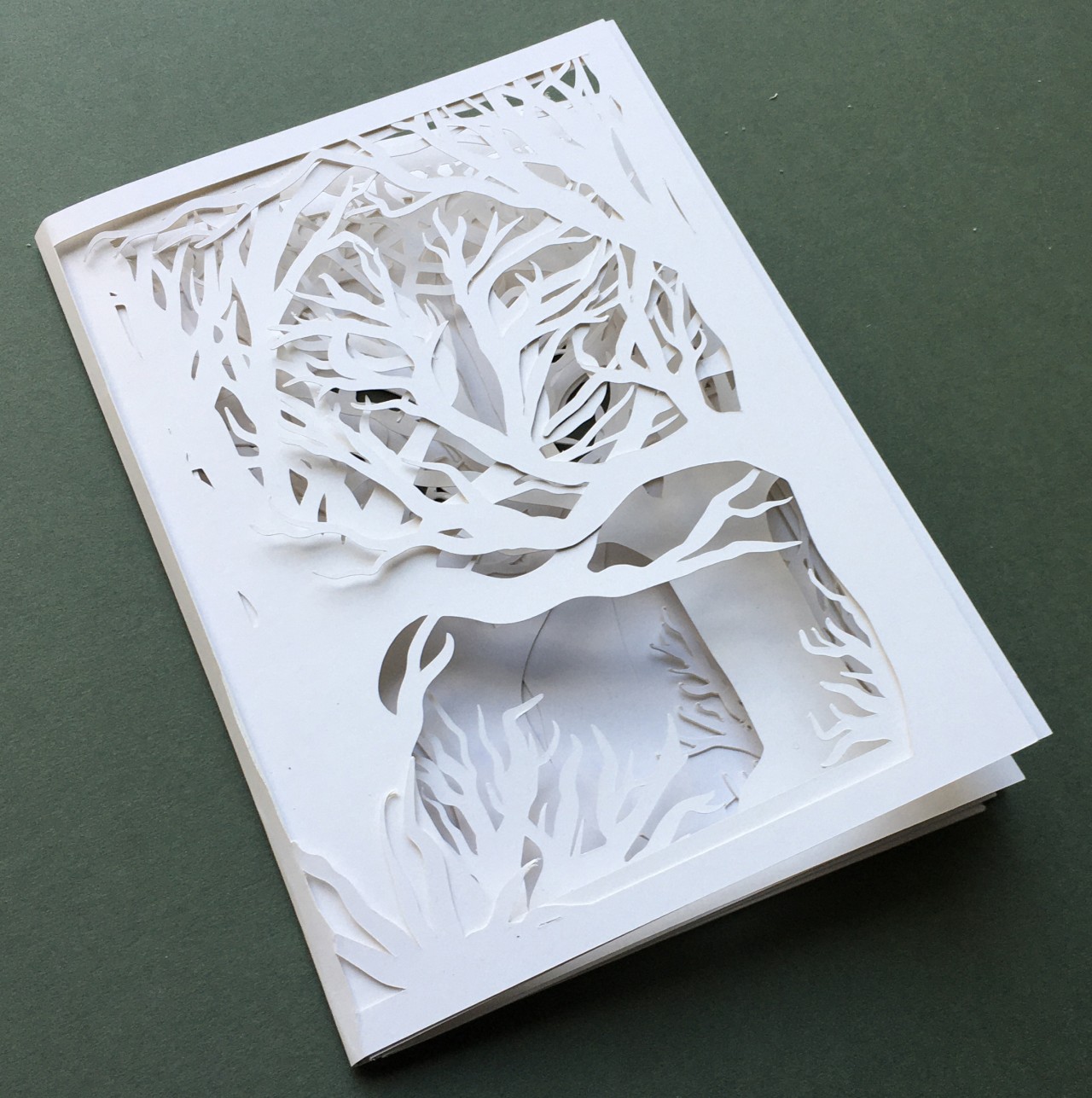 Shauna Heron ProjectA 1 by new-project-page