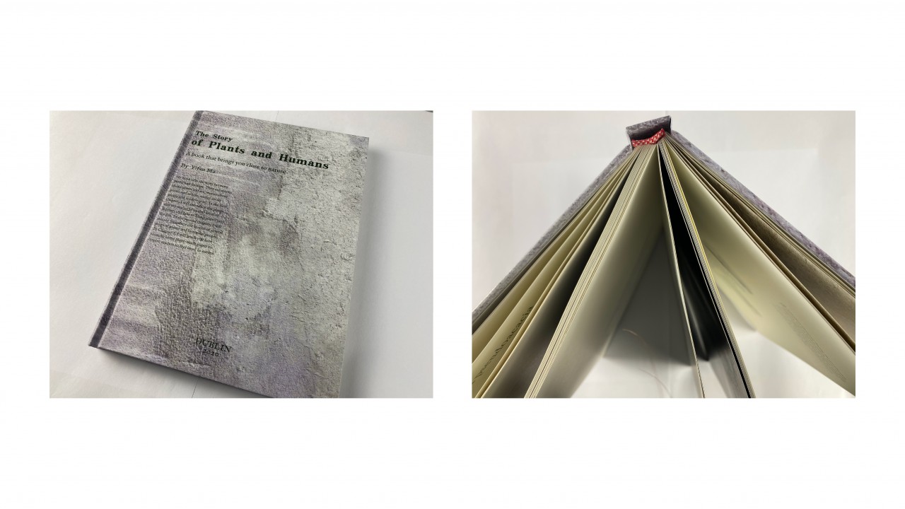 Yifan Ma ProjectB 2 by new-project-page