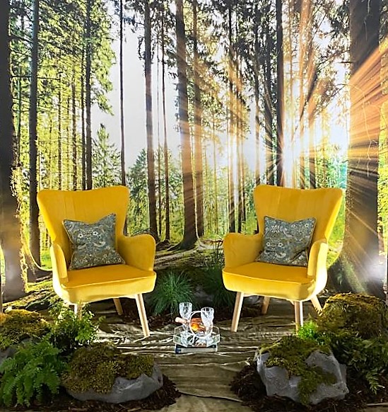 emer rigney Proj2 1.jpg by new-project-page