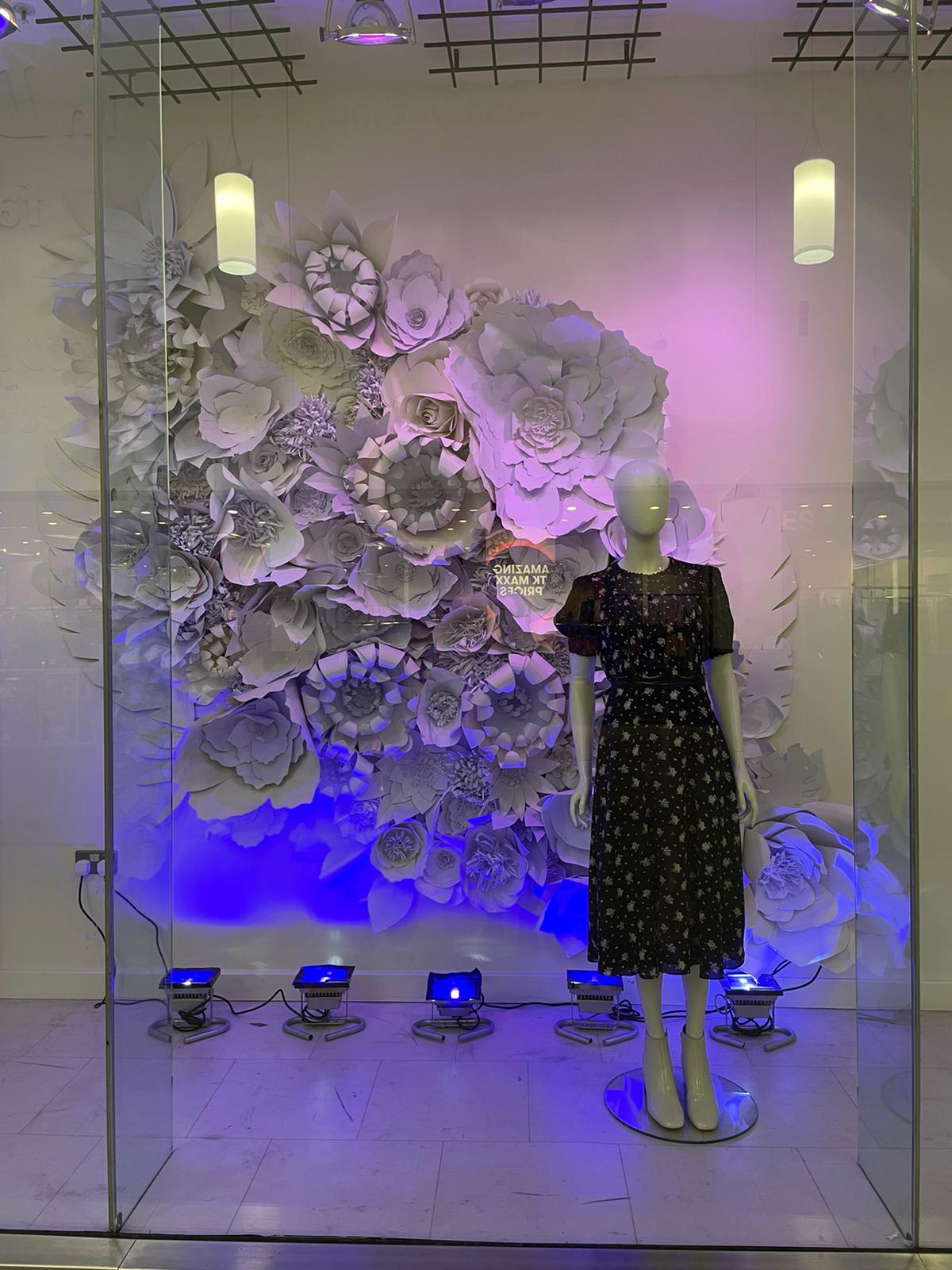 Lyn Mohan project 1 4 by new-project-page