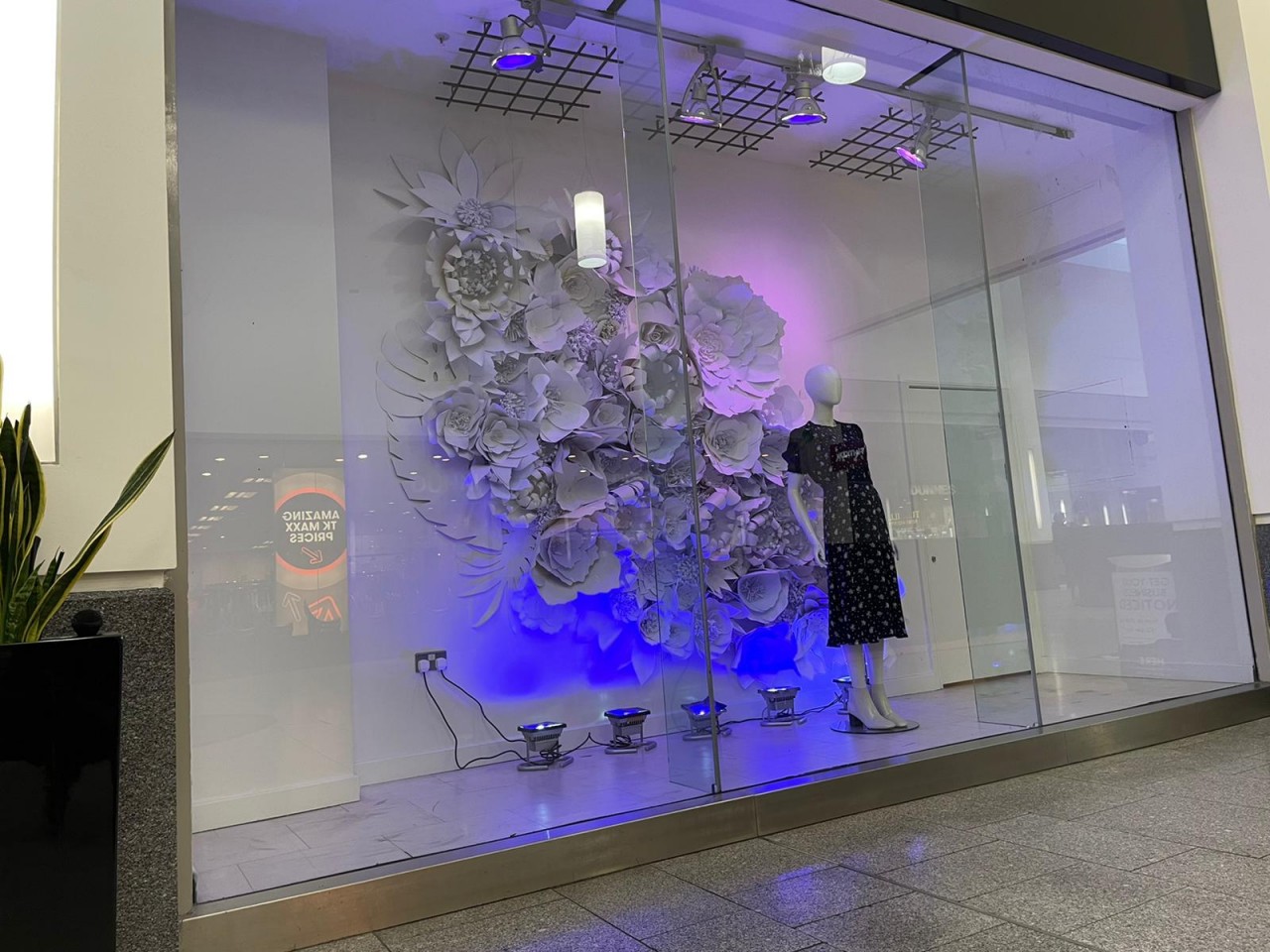 Lyn Mohan project 1 3 by new-project-page